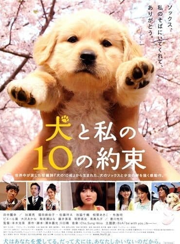 10 Promises to My Dog (2008) 10 ข้อสัญญาน้องหมาของฉัน