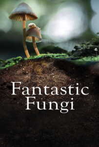 Fantastic Fungi (2019) เห็ดมหัศจรรย์