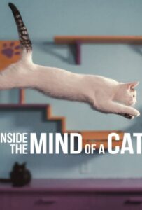 Inside the Mind of a Cat (2022)